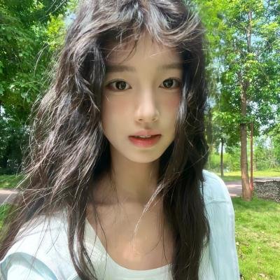 大案组